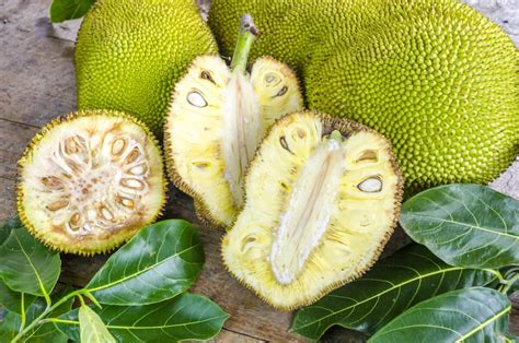 Jackfruit Vs Durian Whats The Difference Foods Guy