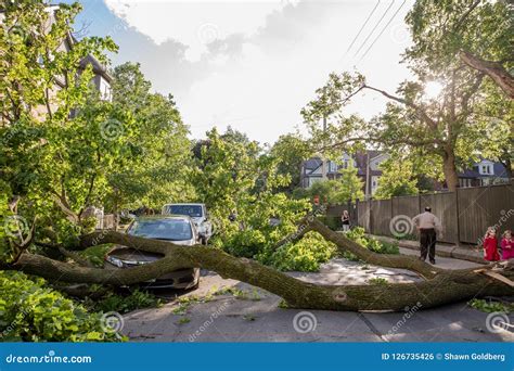 Consecuencias Del Temporal De Lluvia Masivo En El Rea Del Anexo En