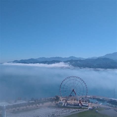 Элакор ТМ