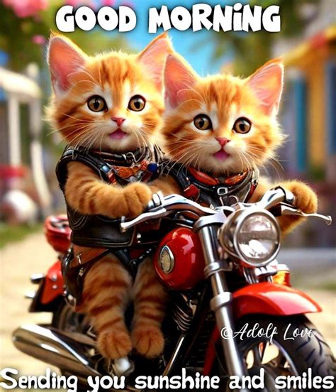 Biker Kittens Good Morning Sending You Sunshine And Smiles Pictures