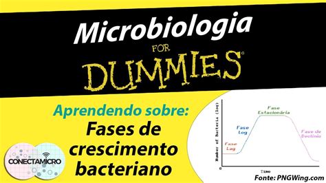 Fases De Crescimento Bacteriano Microbiologia For Dummies Youtube