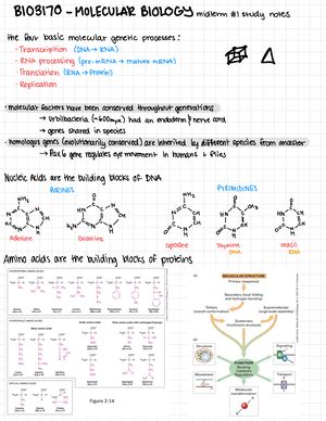 Module Practice Problems Bio Bch Fall Solutions Module