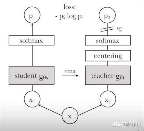 对比学习contrastive Learning综述 知乎