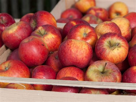 Äpfel richtig lagern So bleiben sie lange frisch und knackig