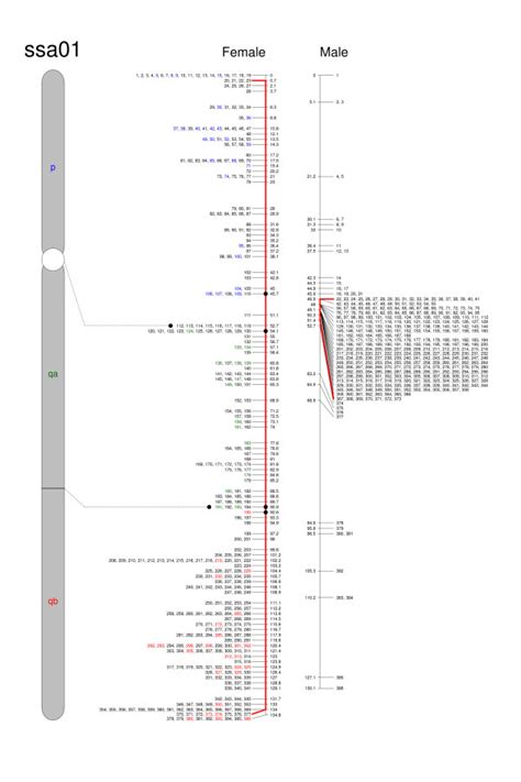 Sex Specific Linkage Maps For Atlantic Salmon Chromosome Ssa The