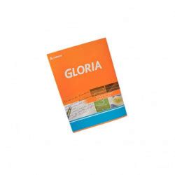 Cuaderno Gloria Tapa Flexible 16 X 21 X 84 Hojas Rayadas Tienda Clic