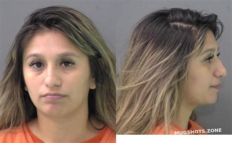 Sanchez Kelly Nicanora Bell County Mugshots Zone