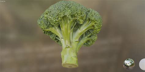 4k Scanned Broccoli 3d Model Cgtrader