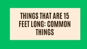 Things That Are Feet Long Common Things Measuring Troop