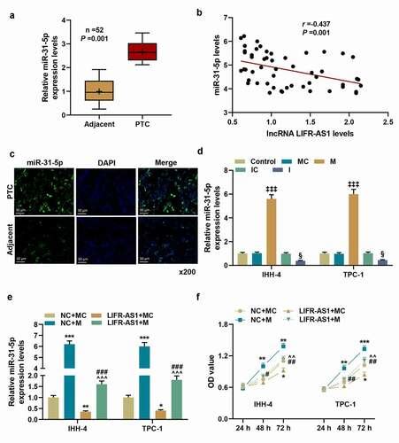 Full Article Long Non Coding Rna Lifr As1 Suppressed The Proliferation