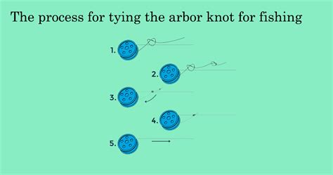 How to Tie an Arbor Knot for Fishing? - Fishing Fetch