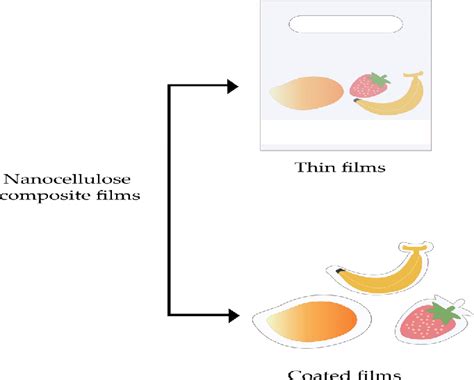 Figure 1 From Nanocellulose Composite Films In Food Packaging Materials