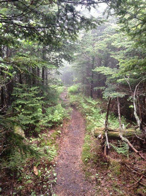 Doug Hikes The 2014 Appalachian Trail Vermont To New Hampshire On The At