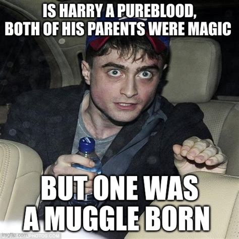 Harry Potter Crazy Imgflip