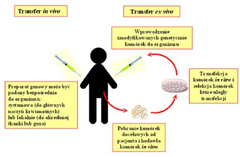 Podstawy Terapii Genowej Terapia Genowa