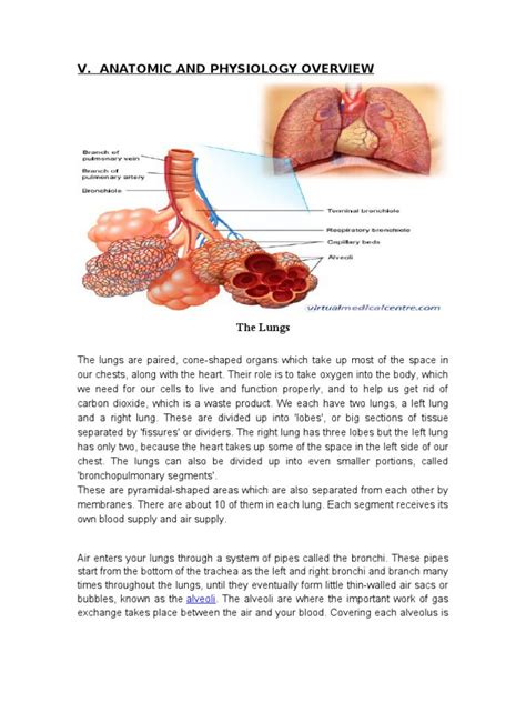 pathophy  cap  lung respiratory tract