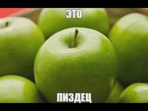 кот пернул - YouTube
