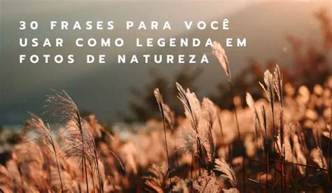 Frases Para Voc Usar Como Legenda Em Fotos De Natureza Khondrion