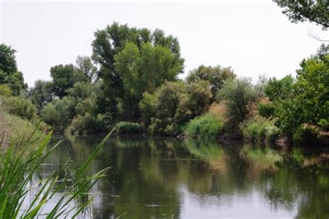 Arganda Celebra El Aniversario Del Parque Regional Del Sureste