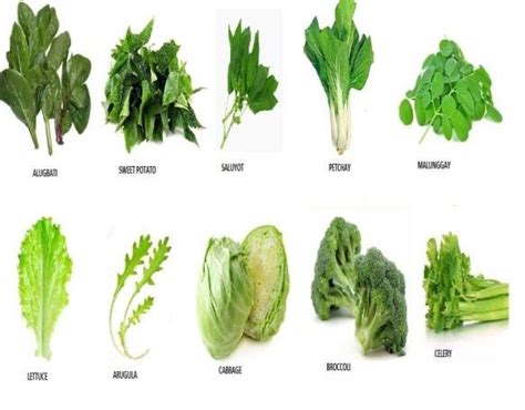 Types Of Leafy Greens