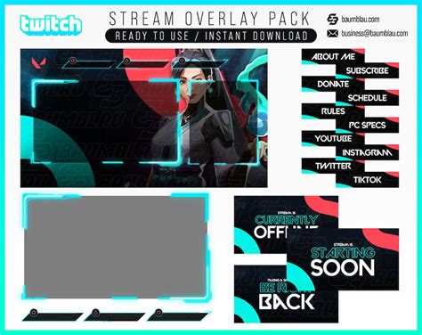 Valorant Sage Stream Overlay Gaming Stream Overlay Full Package Twitch