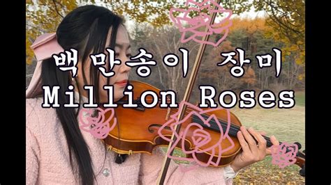 Million Roses 백만송이 장미 Viola Cover Youtube