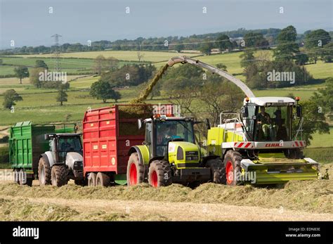 Claas Jaguar Self Propelled Forager Chopping Grass And Loading