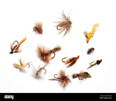 A Selection Of A Dozen Wet And Dry Flies Designed For Fly Fishing For