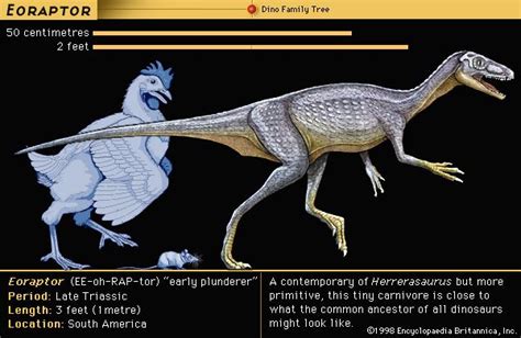 Eoraptor - Kids | Britannica Kids | Homework Help