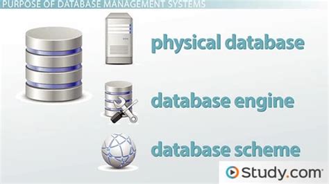 What Is A Database Management System Purpose And Function Video And Lesson Transcript