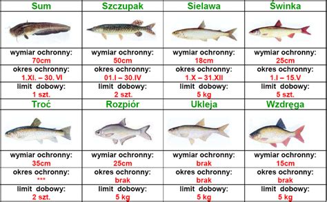 Okresy ochronne wymiary i limity połowu ryb Blog wędkarski