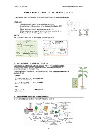 Fisio T7 Pdf