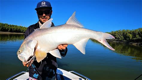 Mental River Fishing In North Queensland Barramundi Threadfin Salmon