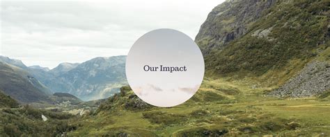 Environmental Impact and Sustainability Efforts | Moment