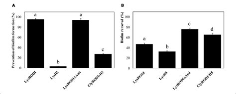 | Antibiofilm activity of different engineered proteins against S ... 