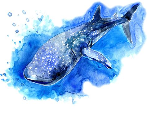 Whale Shark Painting by Suren Nersisyan - Fine Art America