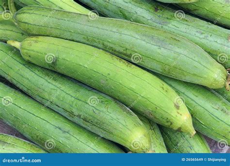 Towel Gourd Royalty Free Stock Images - Image: 26565649