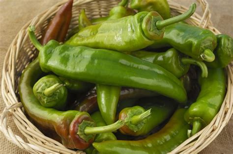 7 Types Of Mexican Green Chiles