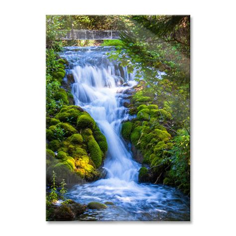 Union Rustic Glasbild Wasserfall im Grünen Wald Wayfair de