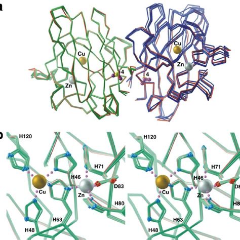 Guanidine Hcl Denaturation Of A V And Hsod As Proteins Purified