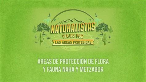 Naturalistas Viajes Por Las Reas Protegidas Reas De Protecci N De