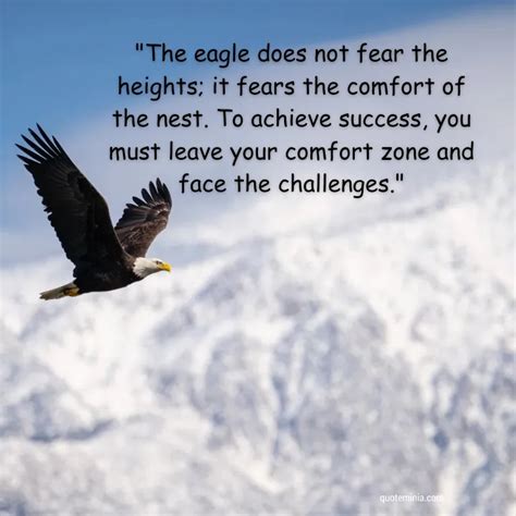 Epic Eagle Quotes To Uplift Your Spirit