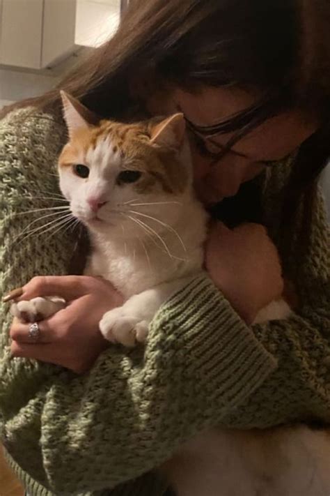 Photos Of Awesome Cat Ladies You Have To See Artofit