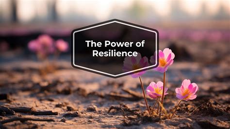 The Power Of Resilience Growing Strong Through Lifes Challenges Discover Your Inner Strength