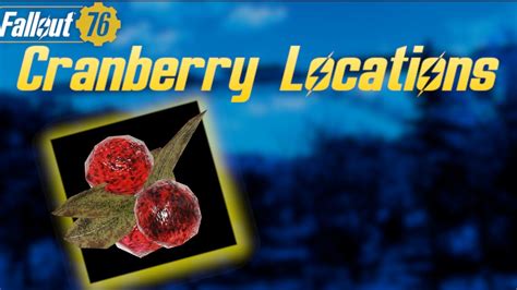 Fallout Cranberry Locations Youtube