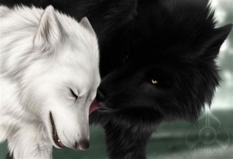 🔥 [50+] Black and White Wolf Wallpapers | WallpaperSafari