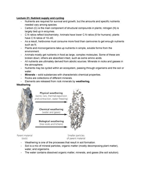 Wk Lectures Ecology Notes Lecture Nutrient Supply And Cycling