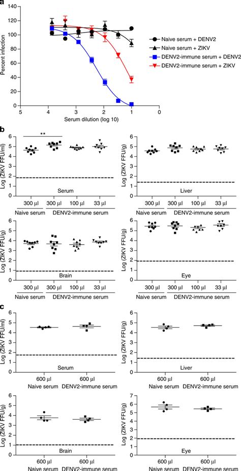 The Effect Of Denv2 Immune Sera On Zikv Infection In Vitro And In