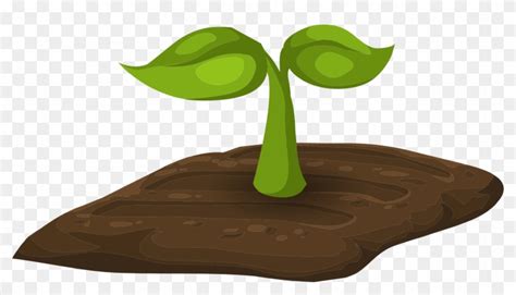 Types Of Soil Clip Art