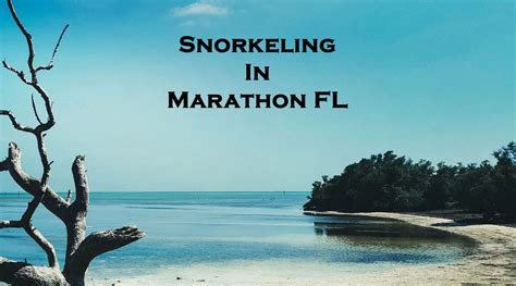 Snorkeling in Marathon Florida – Guide To The Best Spots